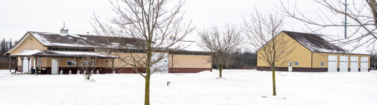 Low buildings on a snowy lot