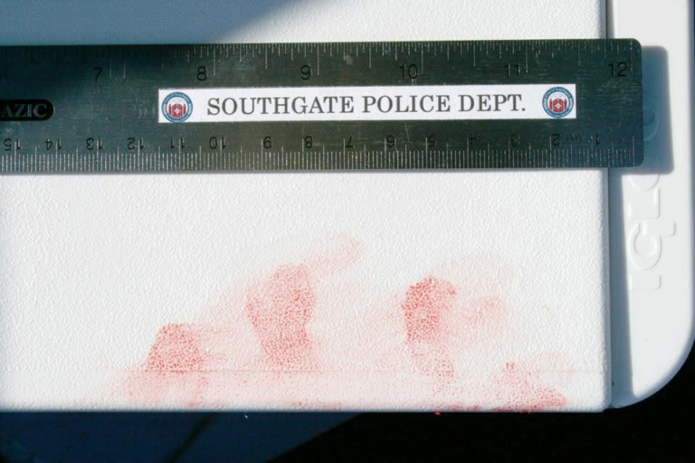 Evidence photo with a police ruler